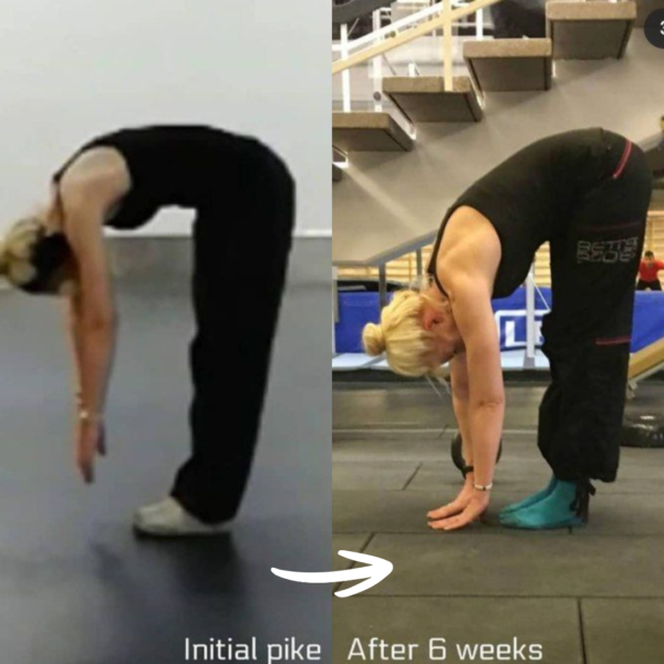 Forward Fold Online Program - Modern Methods of Mobility