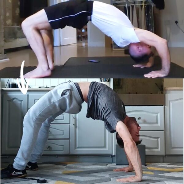 Bridge flexibility online program modern methods of mobility