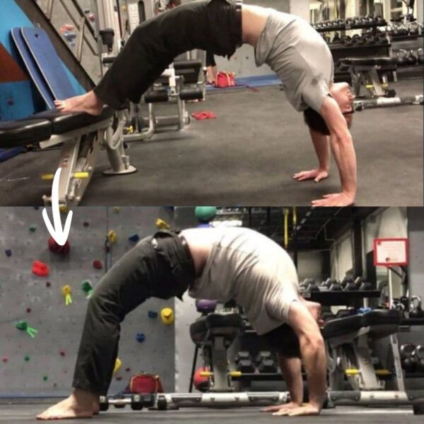 Bridge flexibility online program modern methods of mobility